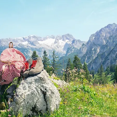 Almroeserl Edelweiss *