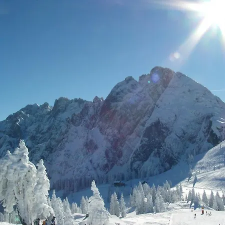 Almroeserl Edelweiss Διαμέρισμα Gosau