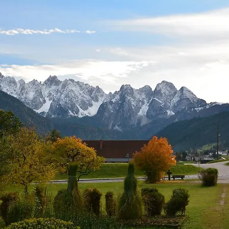 Almroeserl Edelweiss