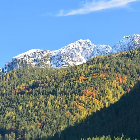 Almroeserl Edelweiss