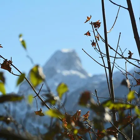 Almroeserl Edelweiss Gosau