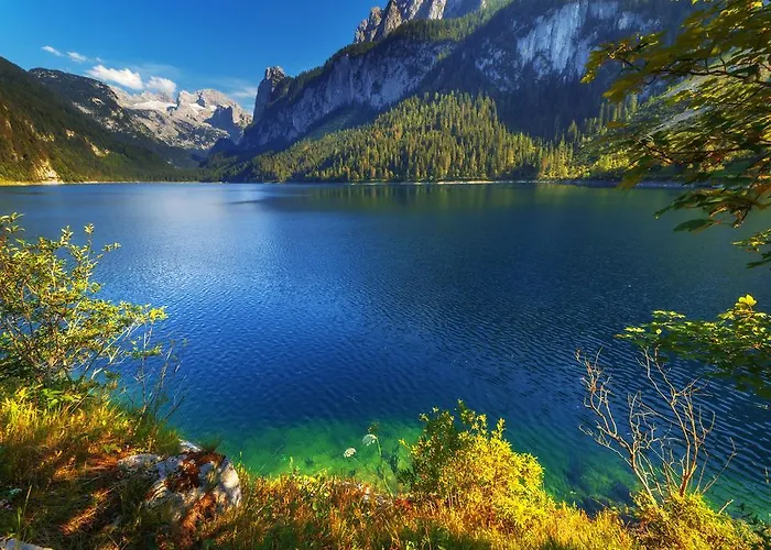 Almroeserl Edelweiss *