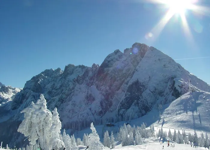 Almroeserl Edelweiss Διαμέρισμα Gosau