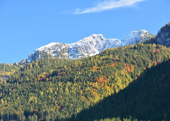 Almroeserl Edelweiss