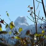 Almroeserl Edelweiss ゴーザウ