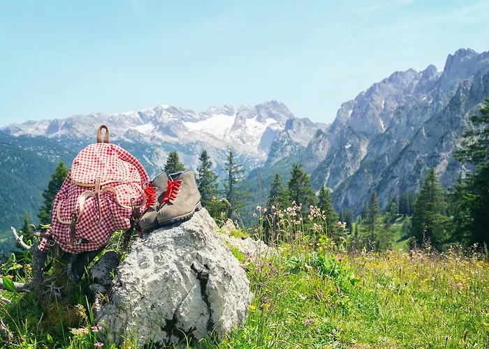 Almroeserl Edelweiss *